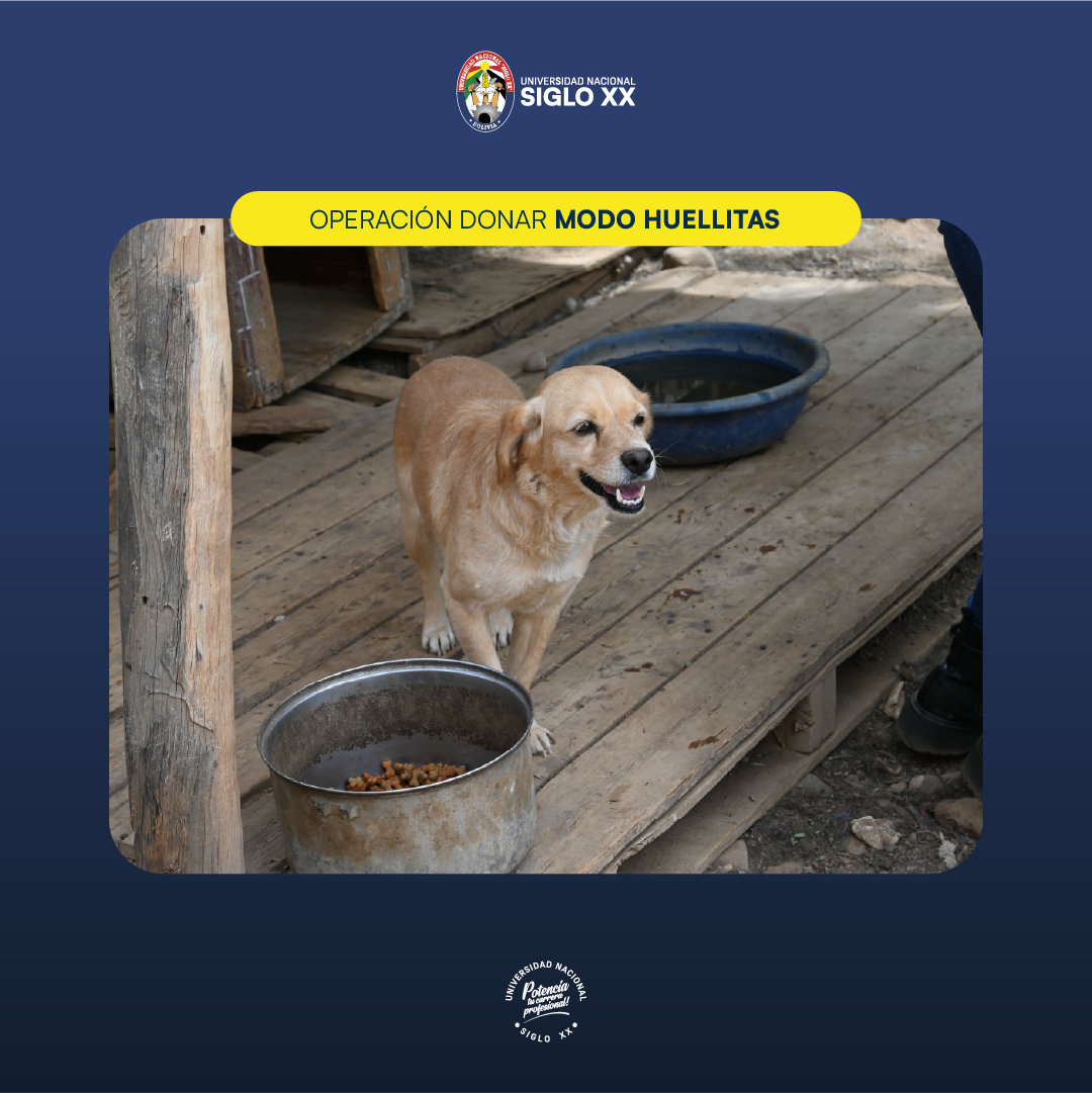 Galería de imágenes — imagen 6
