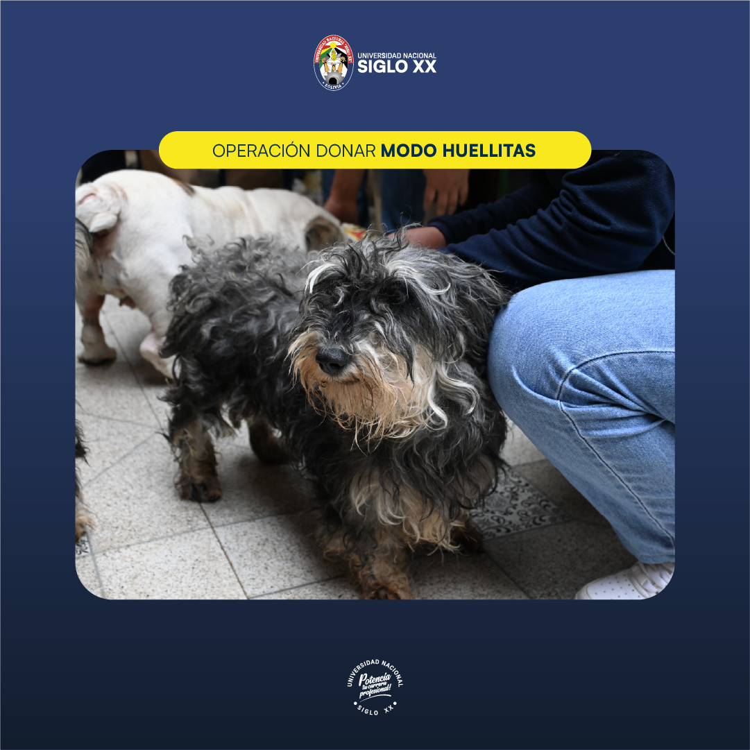 Galería de imágenes — imagen 8