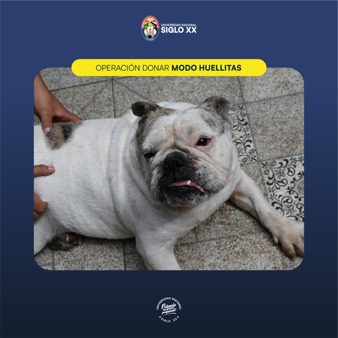 Galería de imágenes — imagen 10