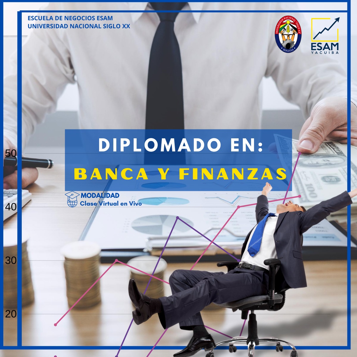 Pordata del programa Diplomado En Banca Y Finanzas