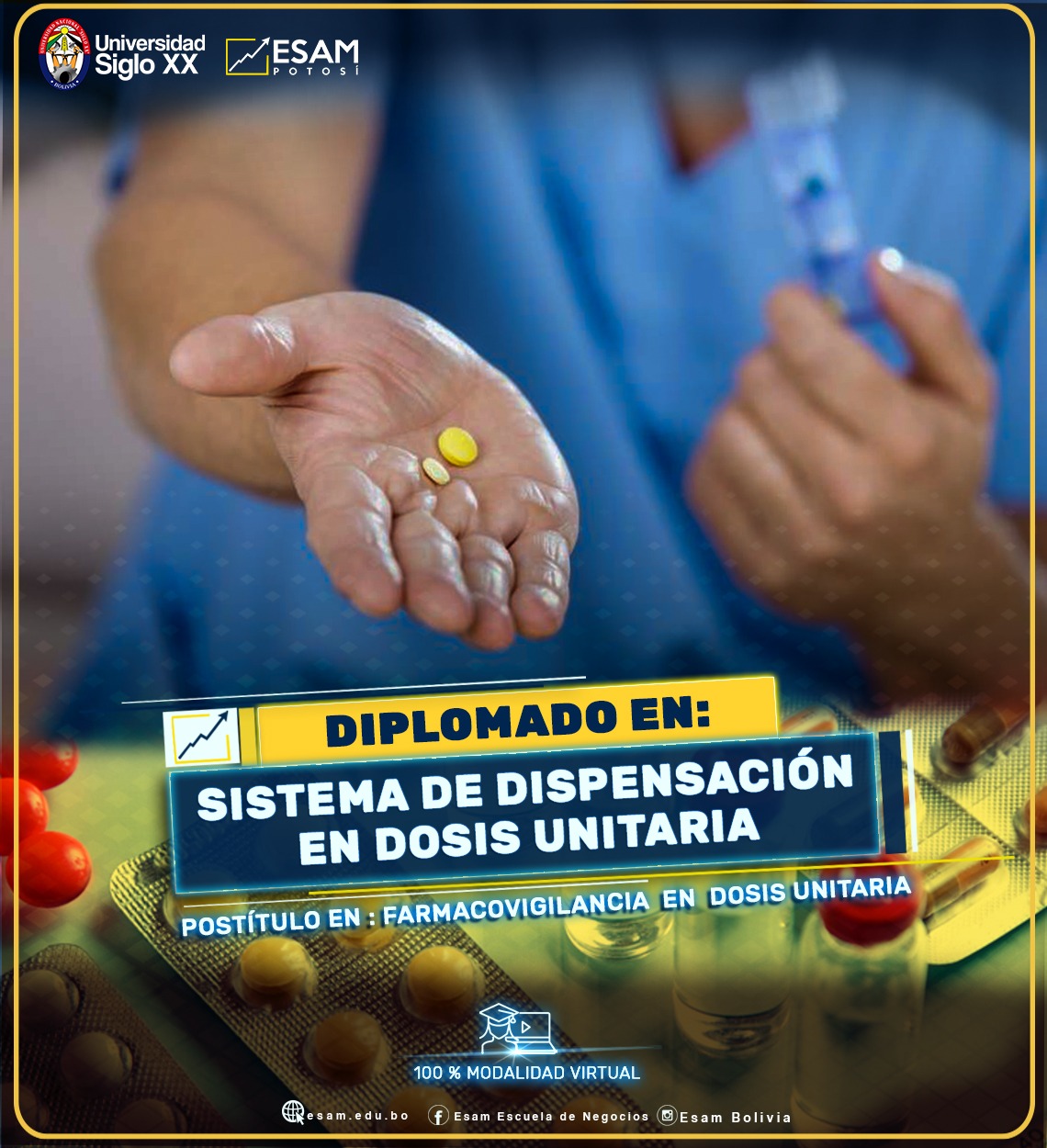 Pordata del programa Diplomado En Sistema de Dispensación en Dosis Unitaria