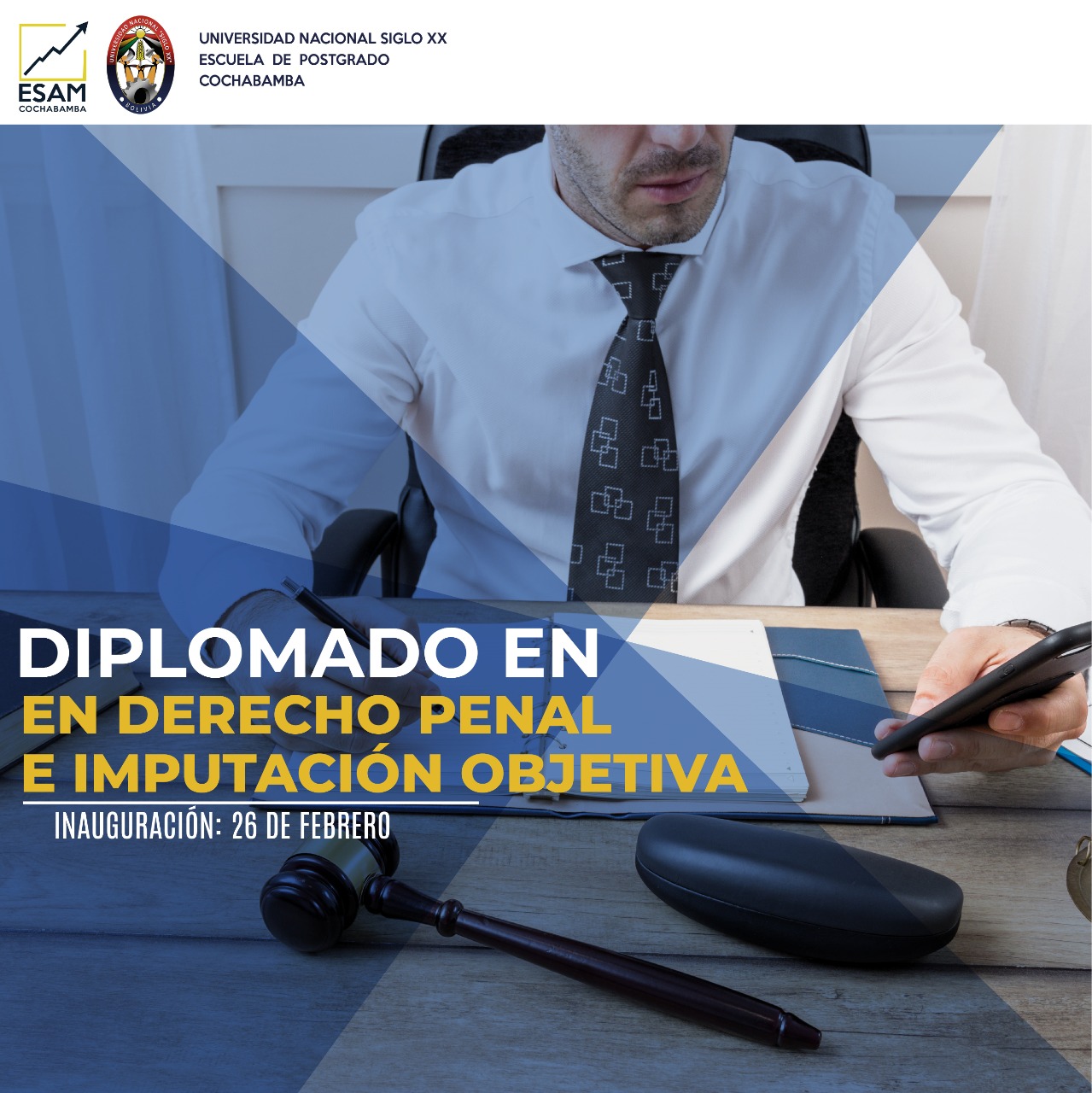 Pordata del programa Diplomado En Derecho Penal e Imputación Objetiva