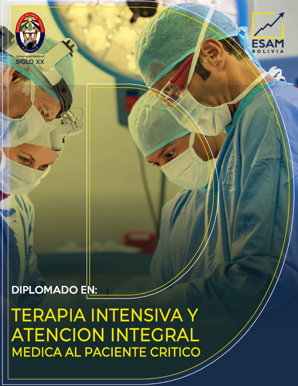 Pordata del programa Diplomado Terapia Intensiva y Atención Integral Medica al Paciente Critico