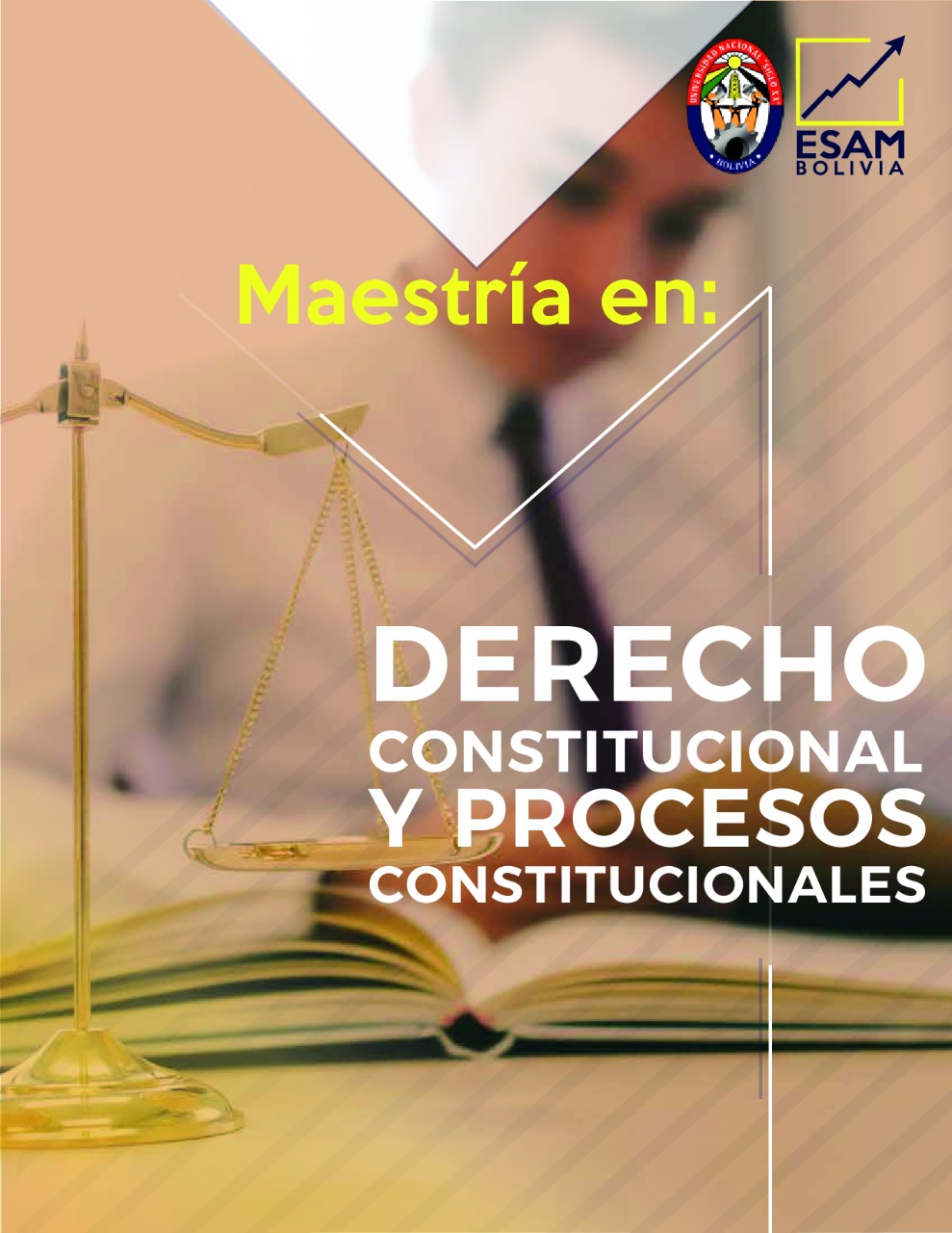 Maestría Derecho Constitucional y Procesos Constitucionales