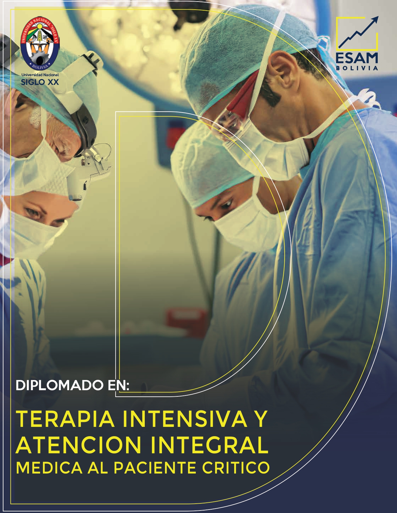 Pordata del programa Diplomado Terapia Intensiva y Atención Integral Medica al Paciente Critico