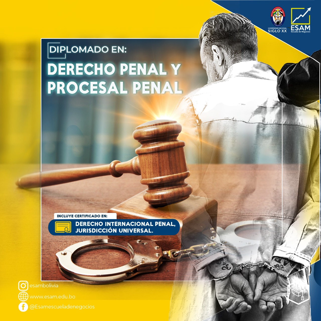 Diplomado en Derecho Penal y Procesal Penal.