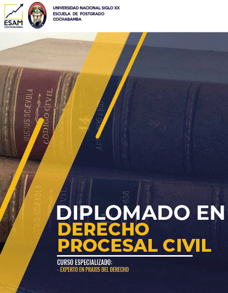 Diplomado En Derecho Procesal Civil