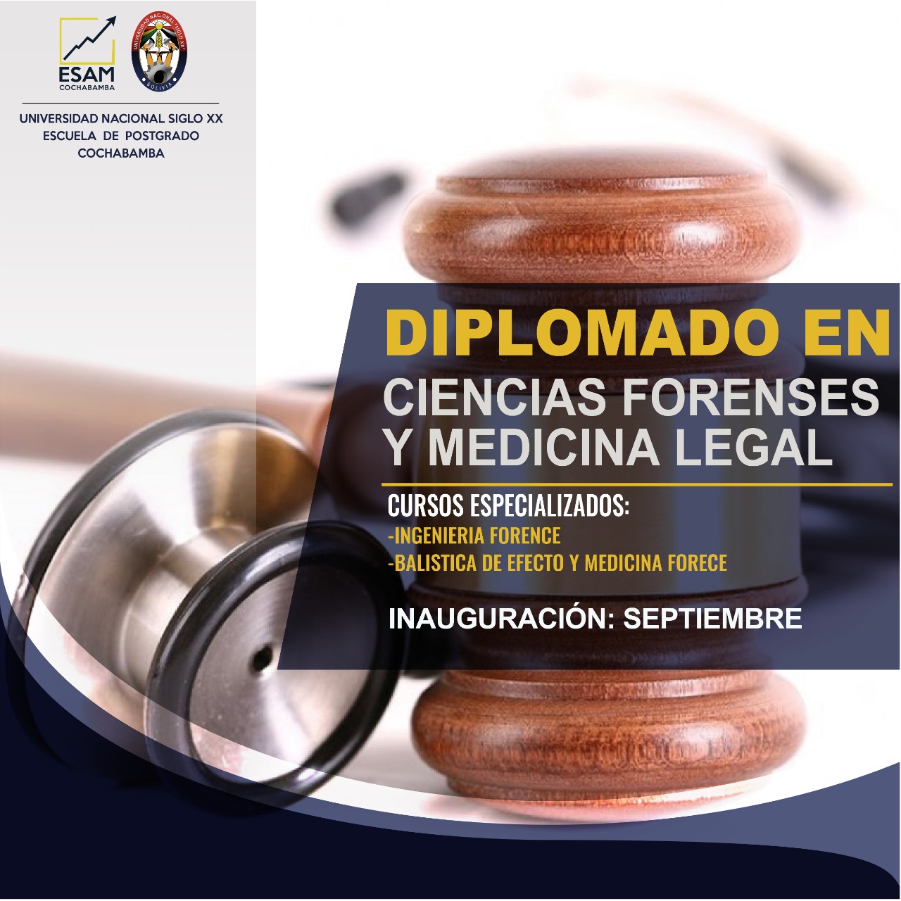 Diplomado en Ciencias Forenses y Medicina Legal