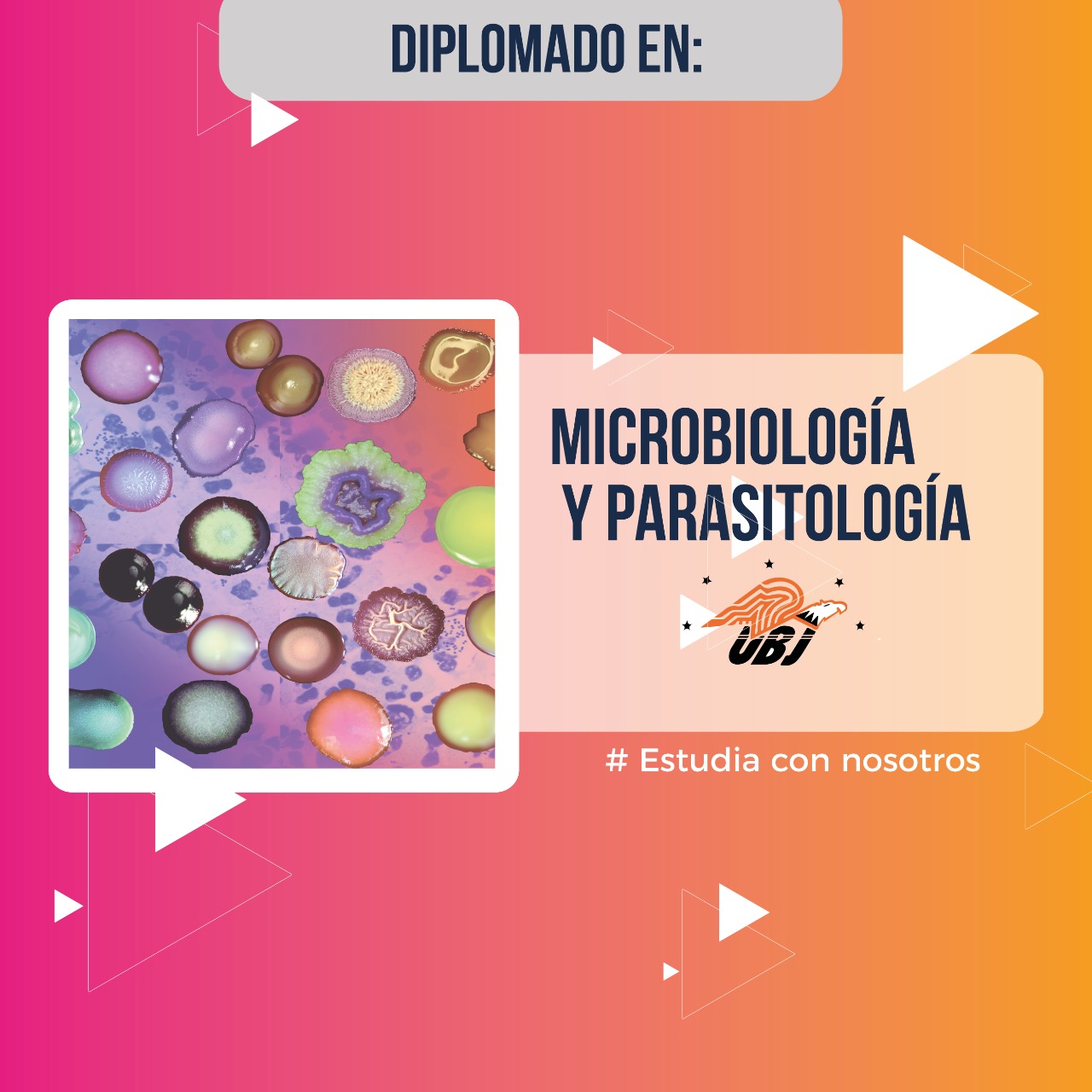 Diplomado Microbiología y Parasitología (UBJ)