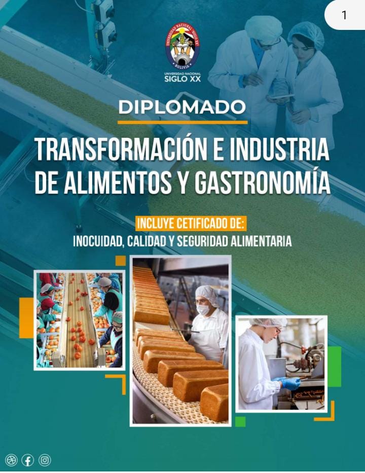 Diplomado en Trasformación e Industria de Alimentos y Gastronomía