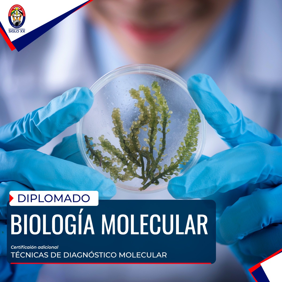 Diplomado Biología Molecular