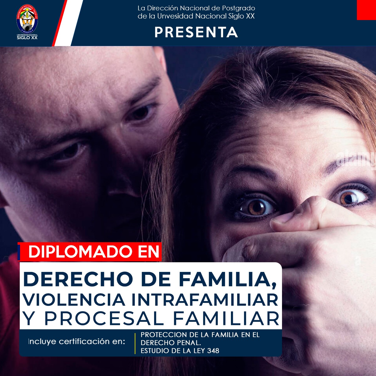 Diplomado DERECHO DE FAMILIA, VIOLENCIA INTRAFAMILIAR Y PROCESAL FAMILIAR