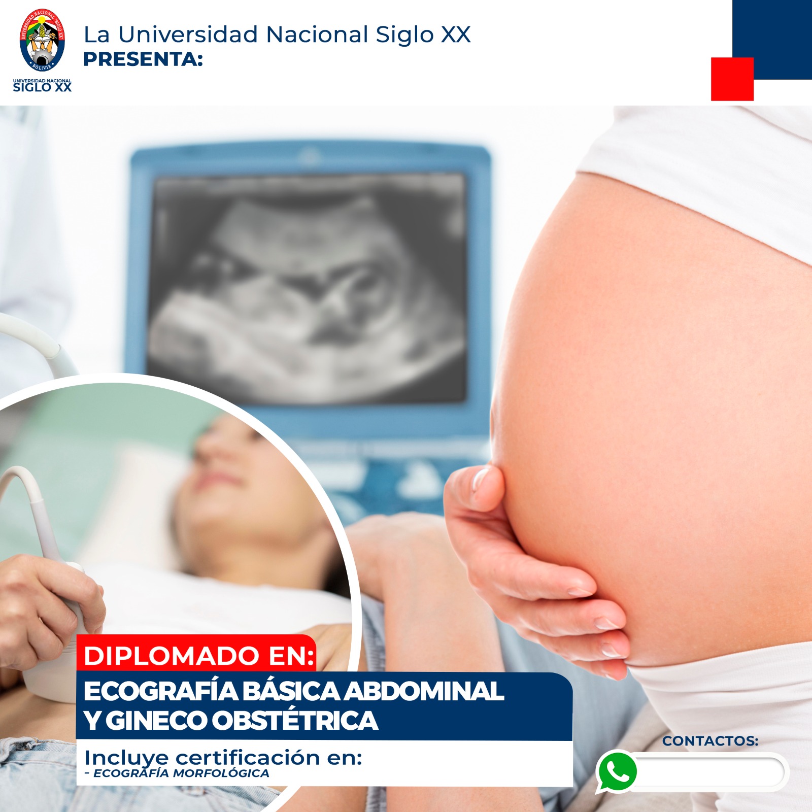 Pordata del programa Diplomado Ecografía Básica Abdominal Y Ginecoobstétrica