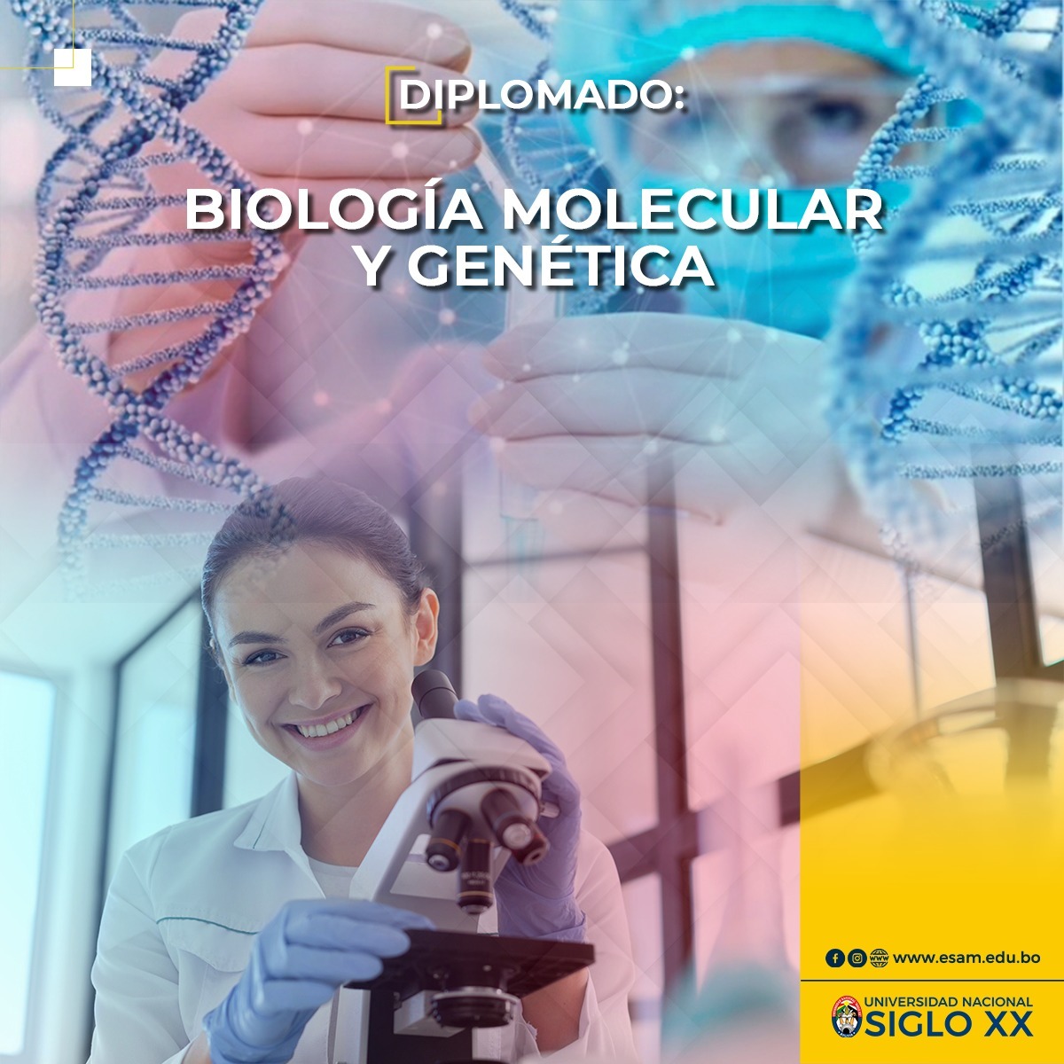 Diplomado DIPLOMADO EN BIOLOGÍA MOLECULAR Y GENÉTICA