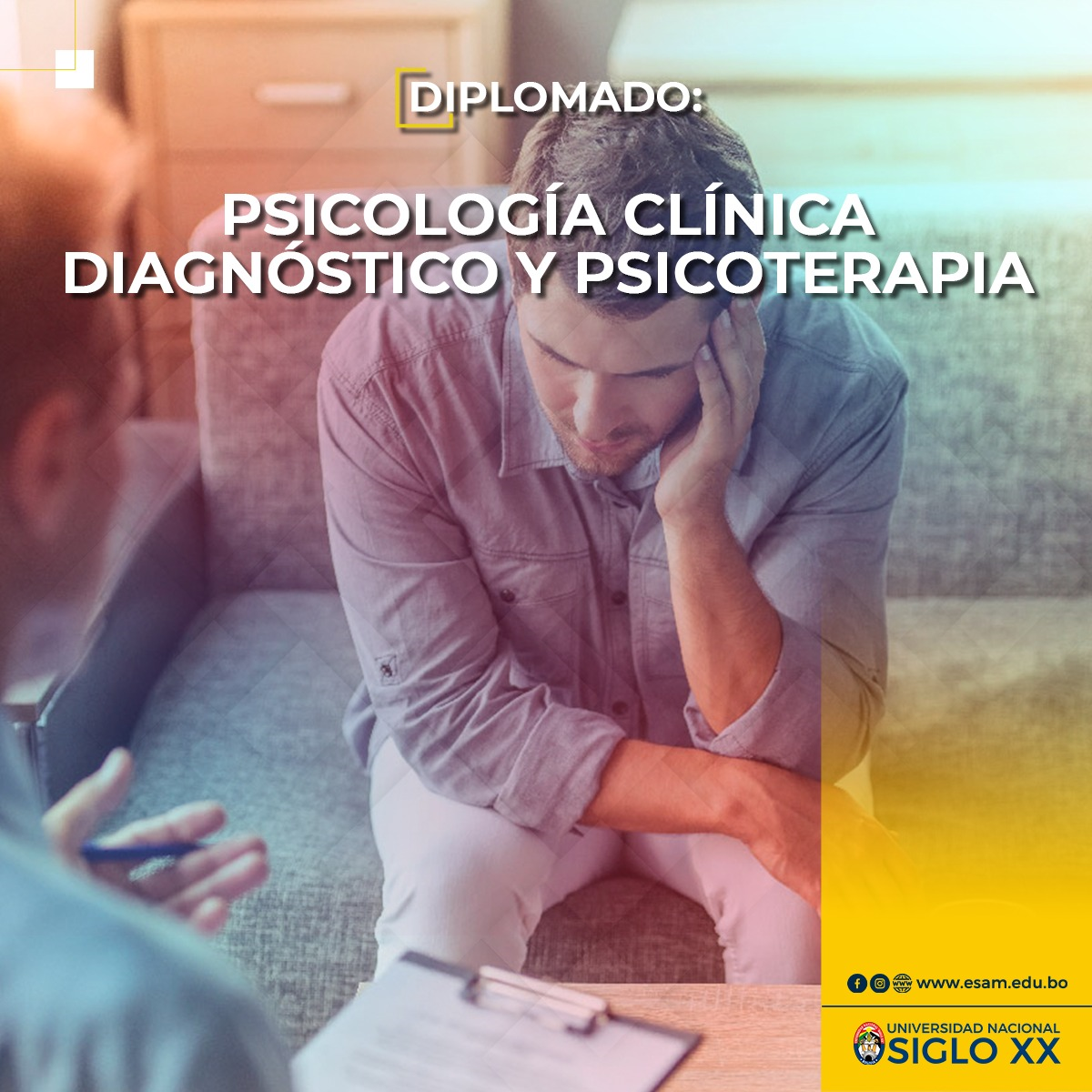 Pordata del programa Diplomado DIPLOMADO DE PSICOLOGÍA CLÍNICA DIAGNÓSTICO Y PSICOTERAPIA