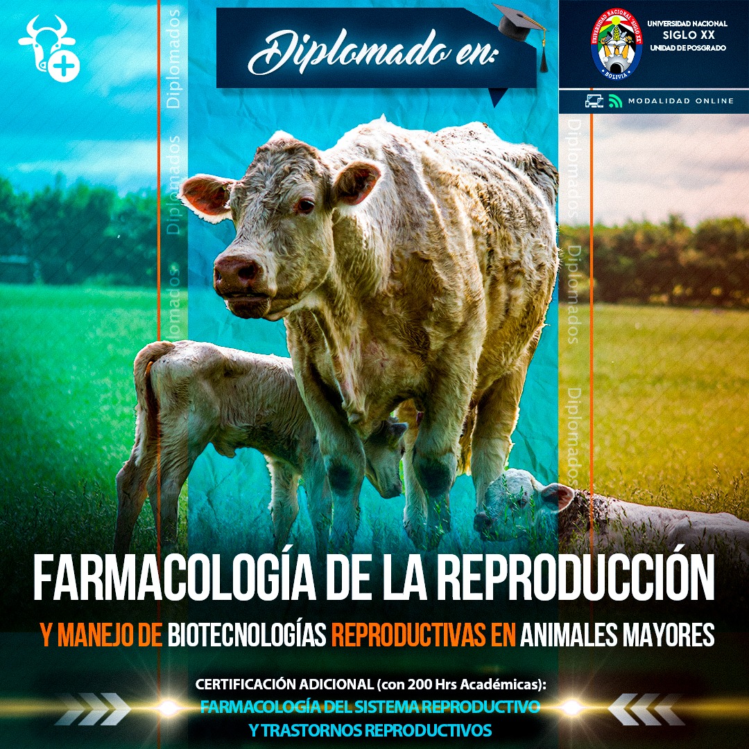 Diplomado DIPLOMADO EN FARMACOLOGÍA DE LA REPRODUCCIÓN Y MANEJO DE BIOTECNOLOGÍAS REPRODUCTIVAS EN ANIMALES MAYORES