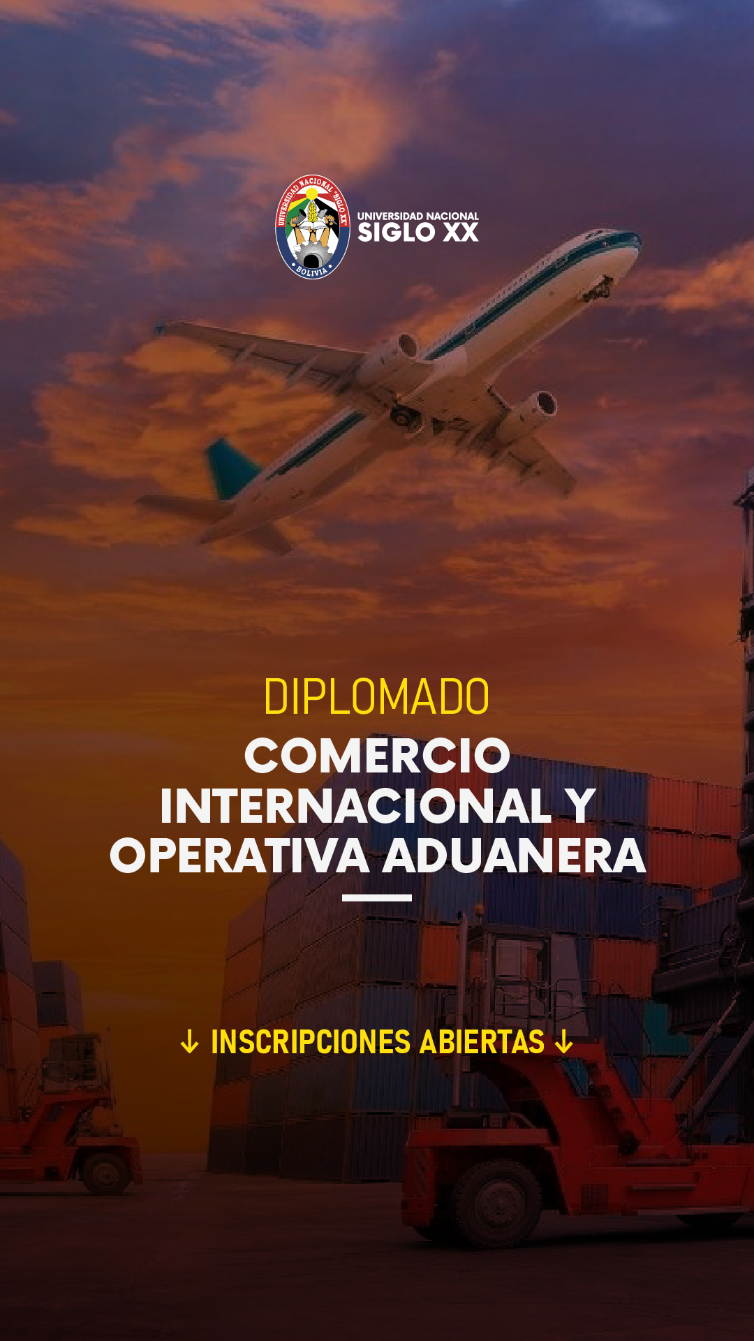 Diplomado en Comercio Internacional y Operativa Aduanera