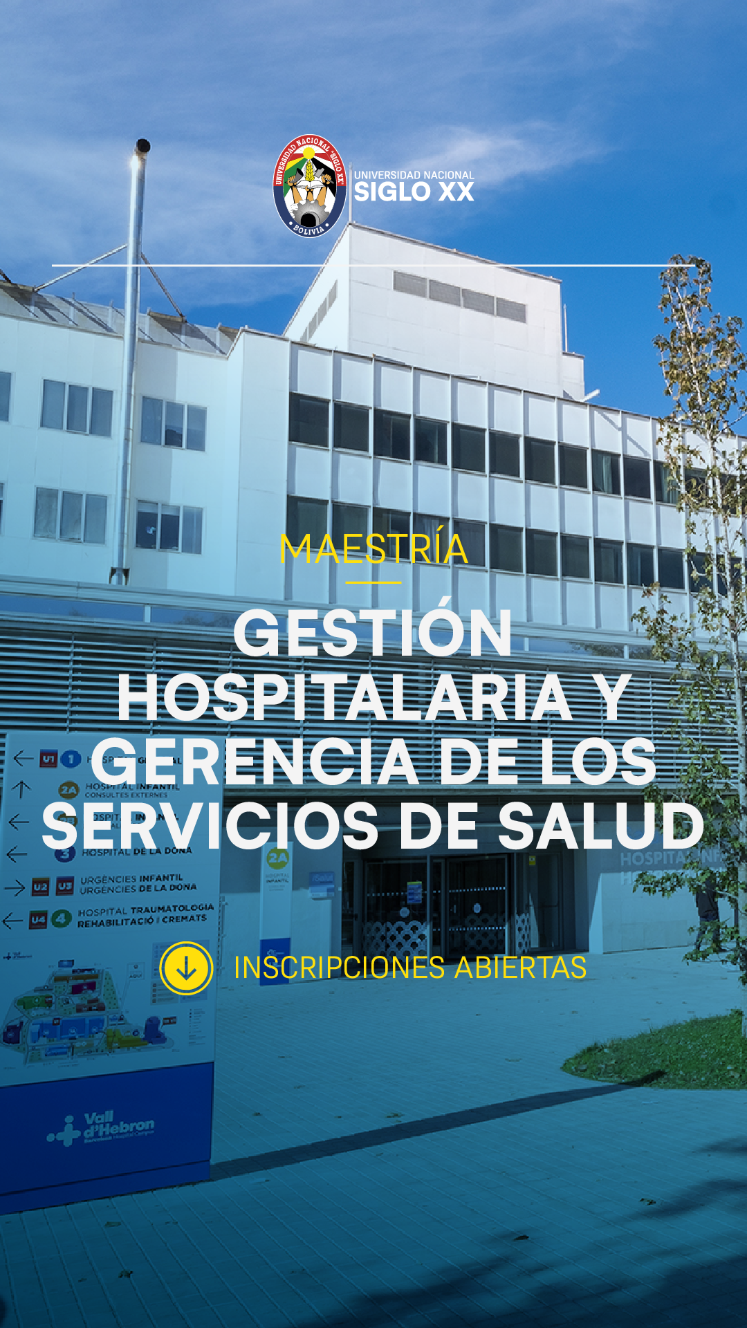 Maestría MAESTRÍA EN GESTIÓN HOSPITALARIA Y GERENCIA DE LOS SERVICIOS EN SALUD