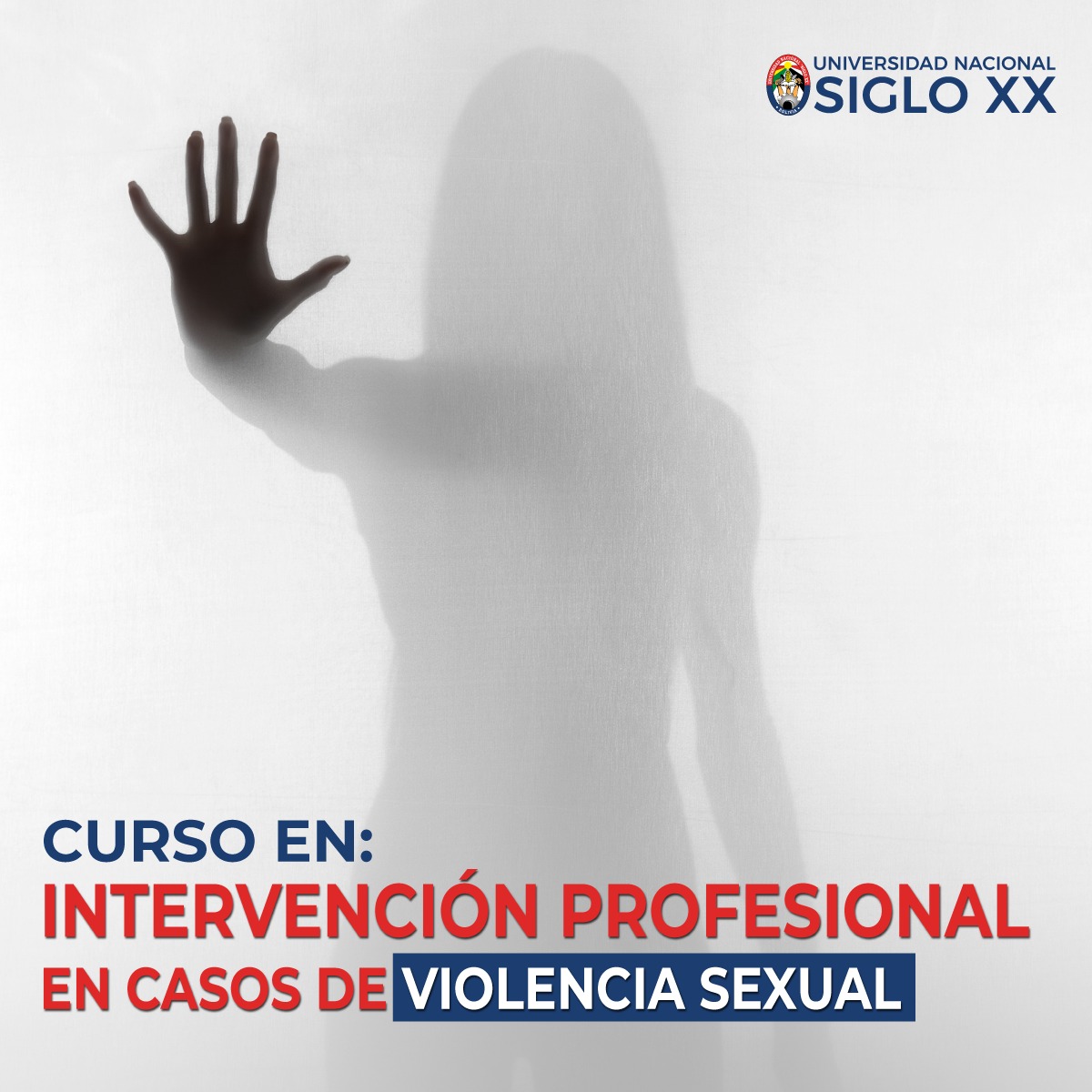 Esam Cursos CURSO EN INTERVENCION PROFESIONAL EN CASOS DE VIOLENCIA SEXUAL