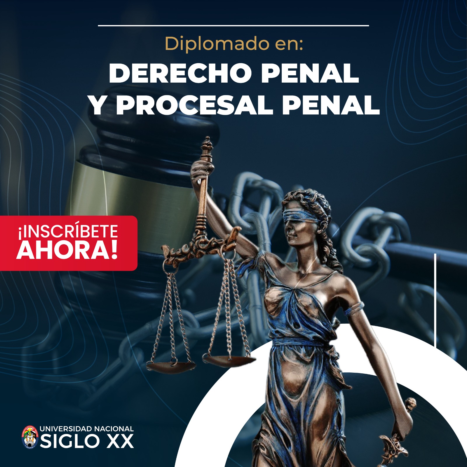 Diplomado En Derecho Penal Y Procesal Penal