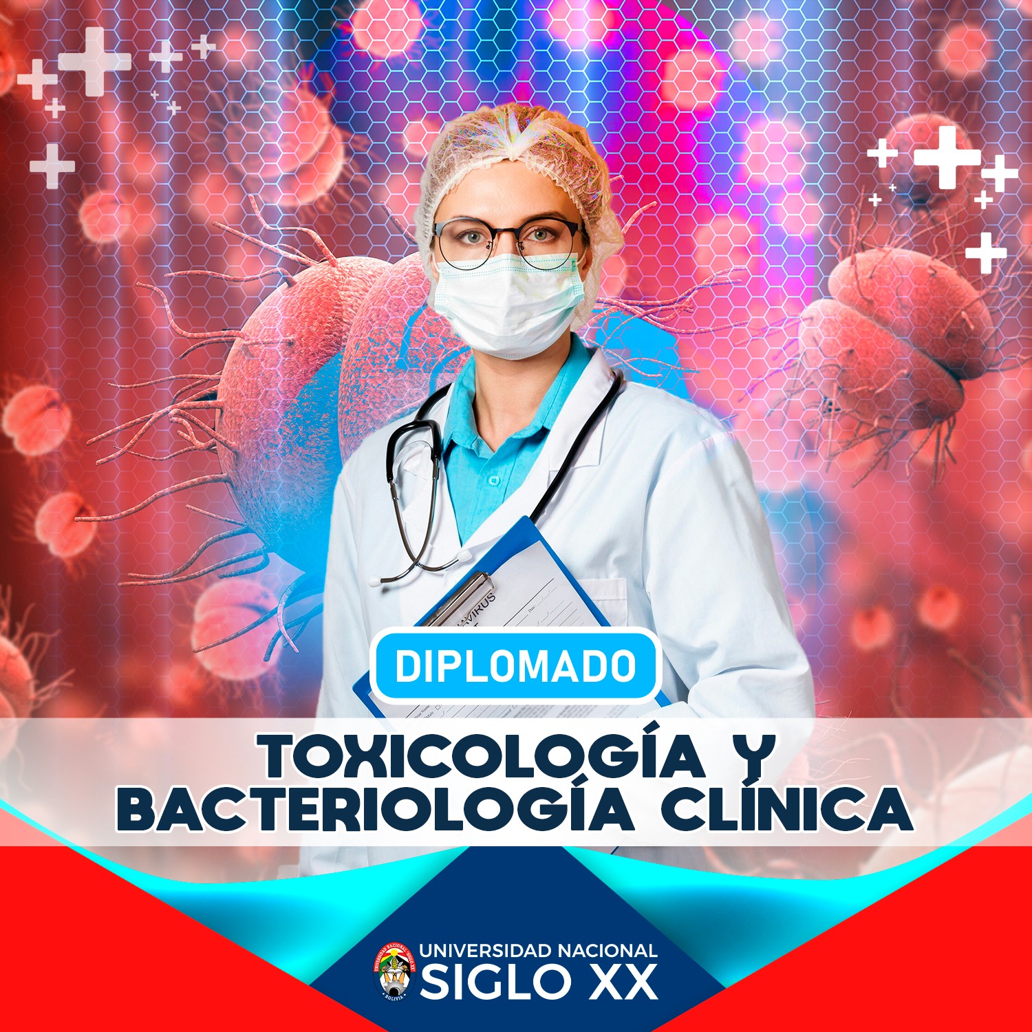 Pordata del programa Diplomado DIPLOMADO EN TOXICOLOGÍA Y BACTERIOLOGÍA CLÍNICA