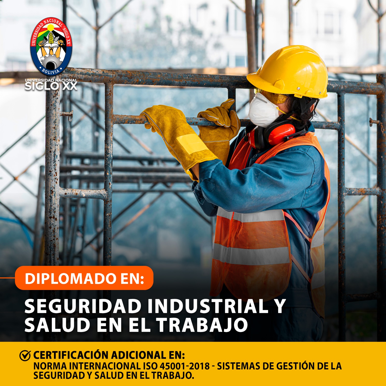 Diplomado En Seguridad Industrial Y Salud En El Trabajo
