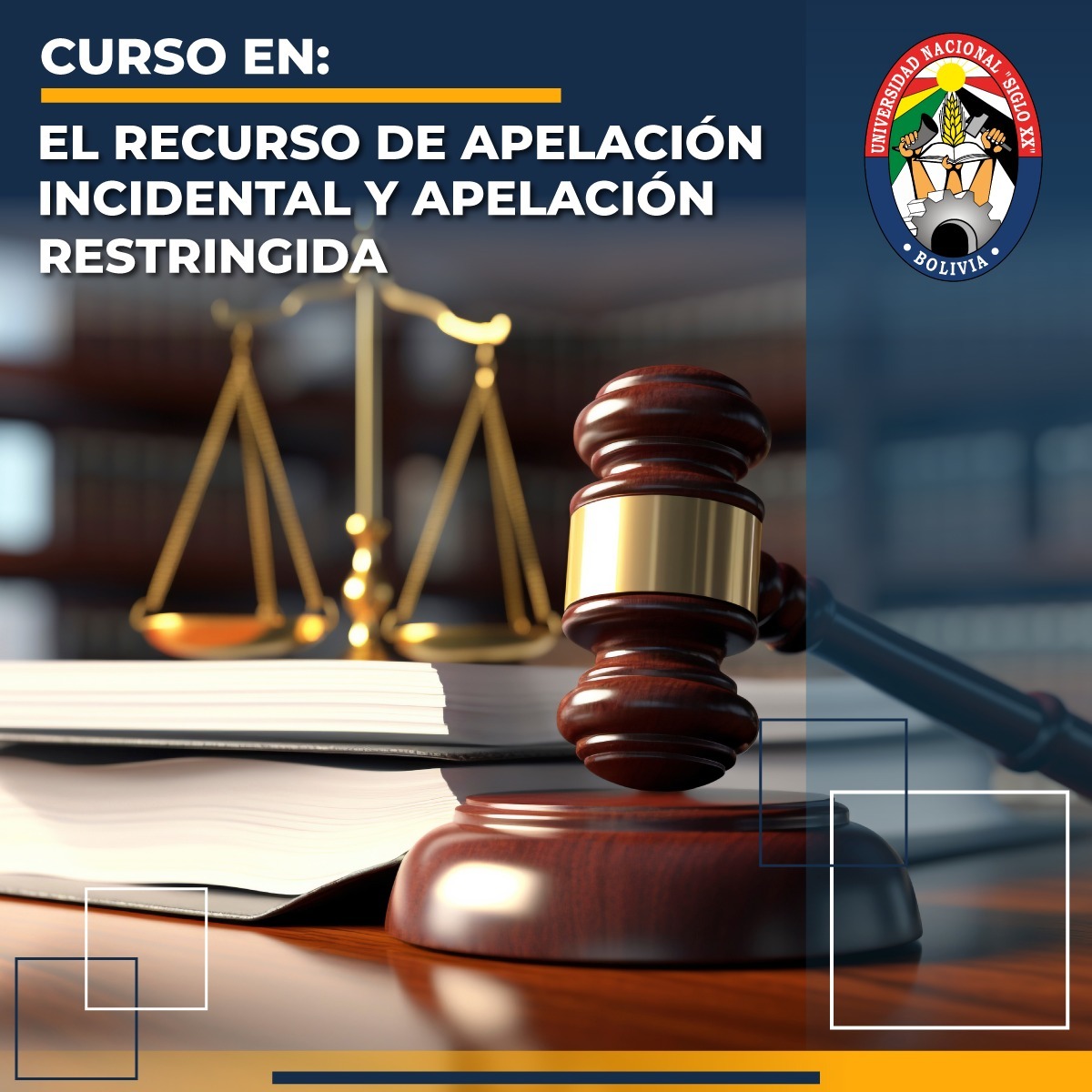 Esam Cursos RECURSO DE LA APELACIÓN INCIDENTAL Y APELACIÓN RESTRINGIDA