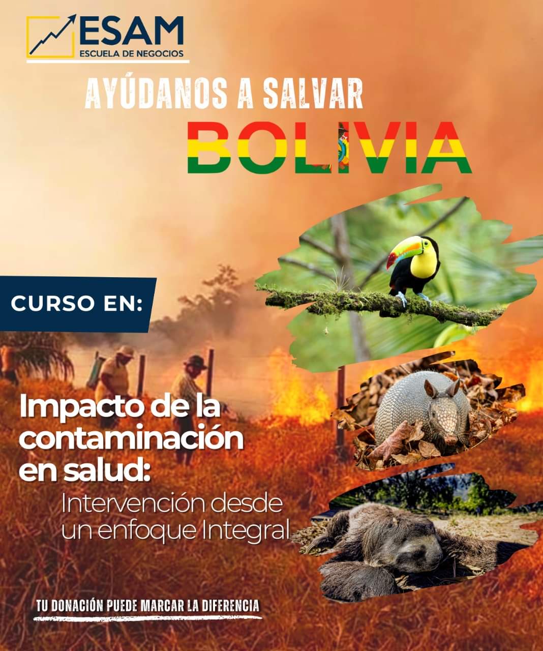 Esam Cursos IMPACTO DE LA CONTAMINACIÓN EN SALUD: INTERVENCIÓN DESDE UN ENFOQUE INTEGRAL