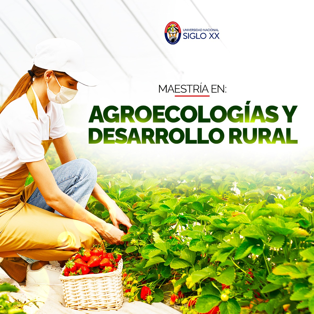 Maestría MAESTRÍA EN AGROECOLOGÍAS Y DESARROLLO RURAL SOSTENIBLE