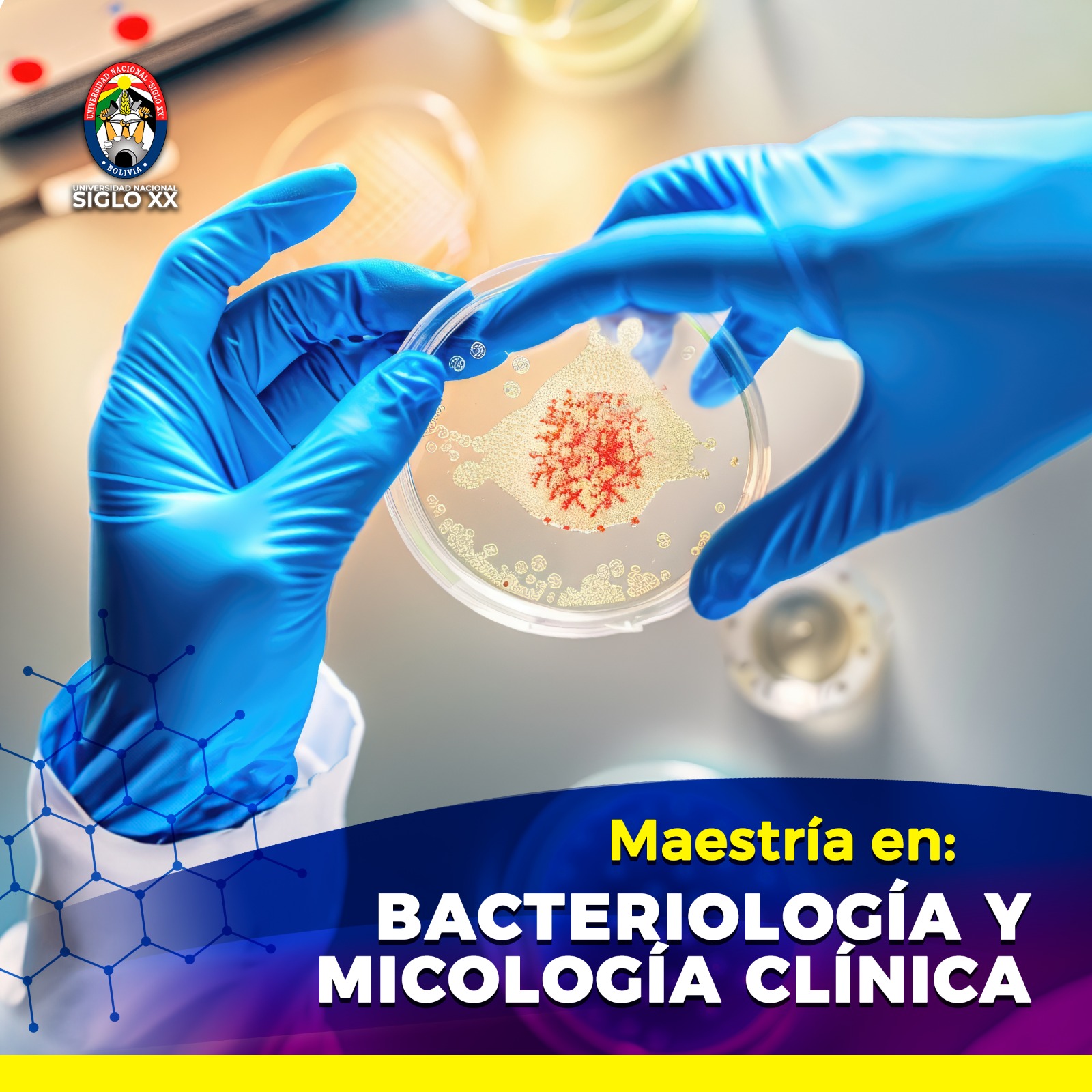 Maestría MAESTRÍA EN BACTERIOLOGÍA Y MICOLOGÍA CLÍNICA