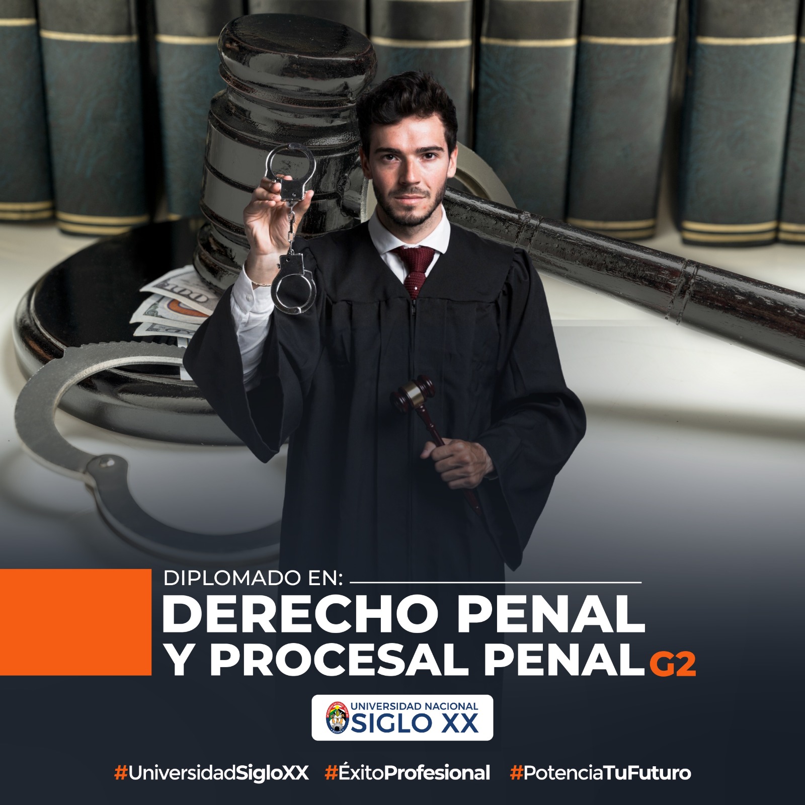 Diplomado en Derecho Penal y Procesal Penal.