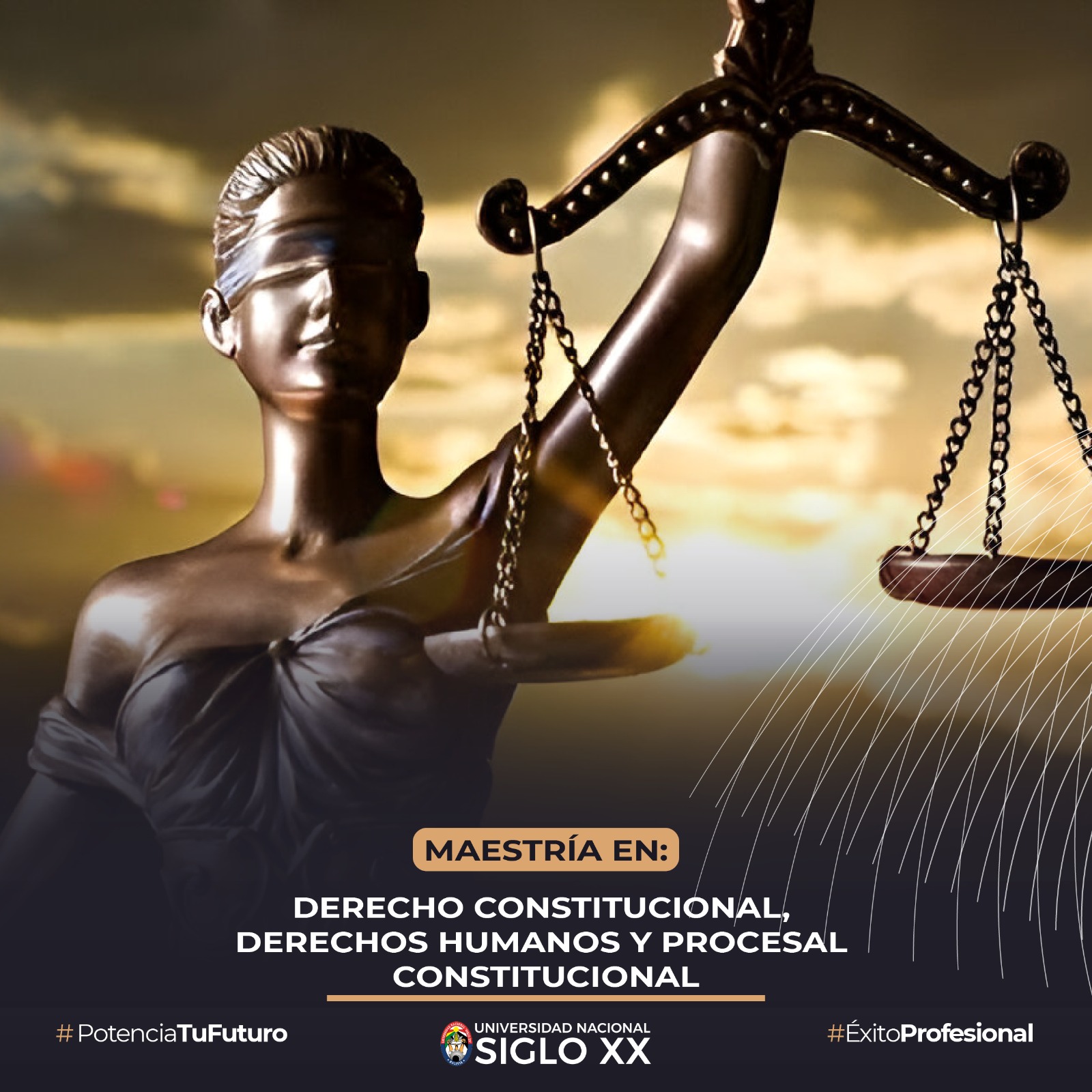 Maestría Derecho Constitucional, Derechos Humanos Y Procesal Constitucional