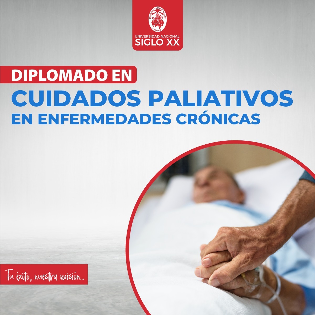 Diplomado DIPLOMADO EN CUIDADOS PALIATIVOS EN ENFERMEDADES CRÓNICAS