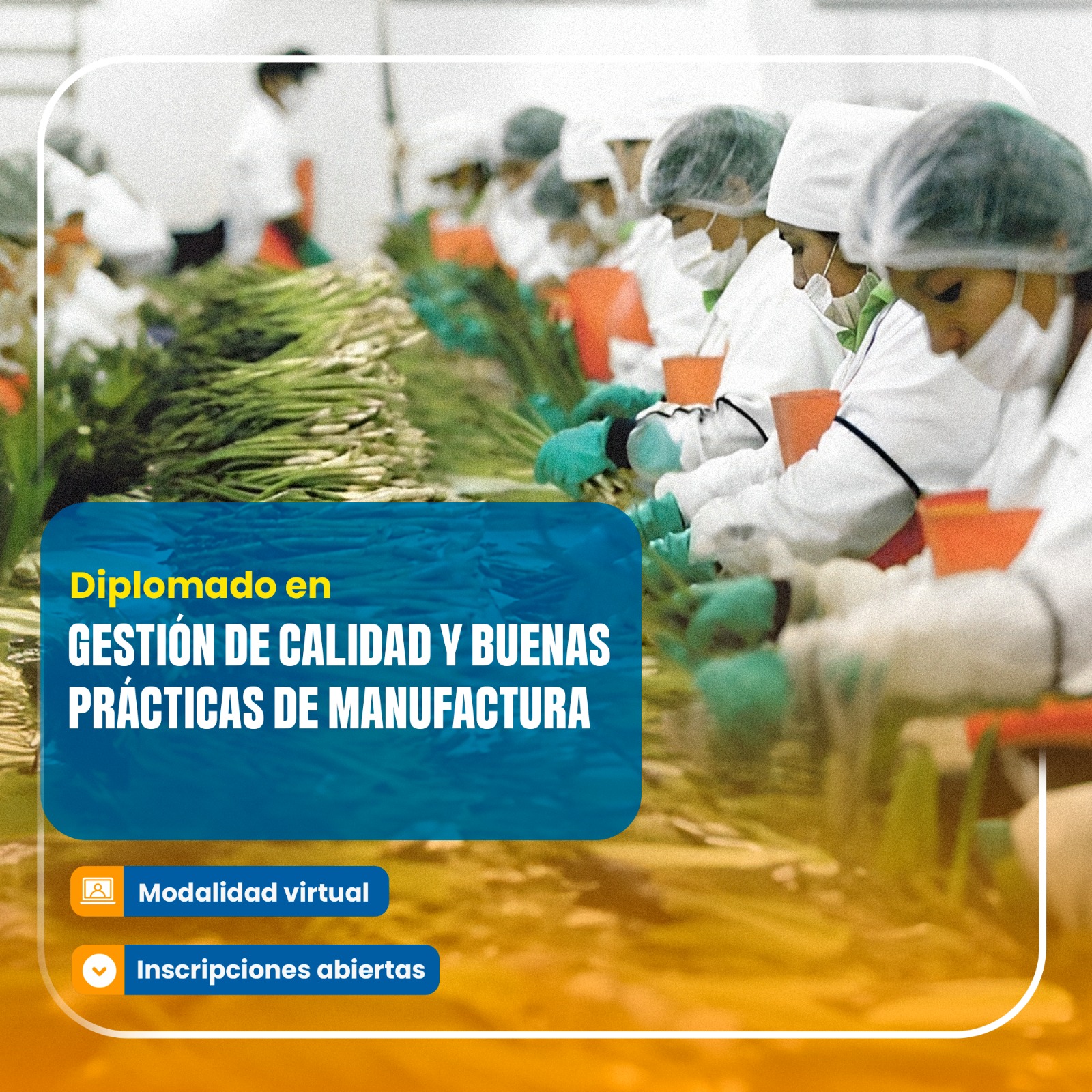 Diplomado DIPLOMADO EN GESTIÓN DE CALIDAD Y BUENAS PRÁCTICAS DE MANUFACTURA