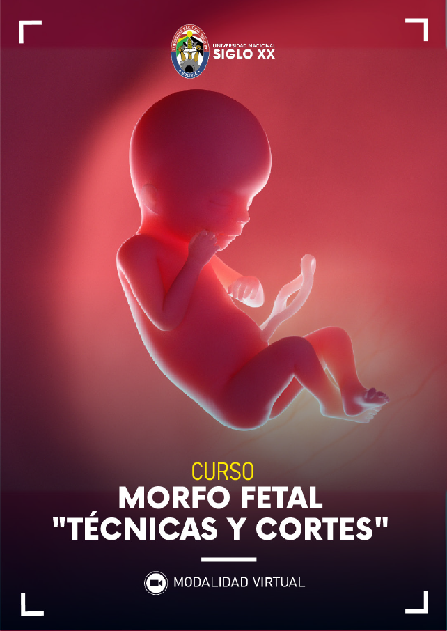 Esam Cursos CURSO TÉCNICAS Y CORTES EN MORFOLOGÍA FETAL