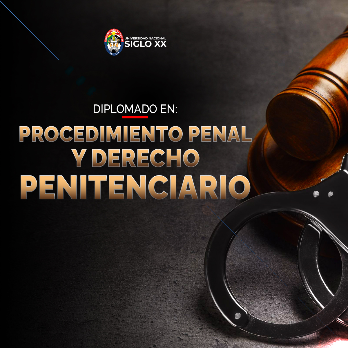 Diplomado DIPLOMADO EN PROCEDIMIENTO PENAL Y DERECHO PENITENCIARIO