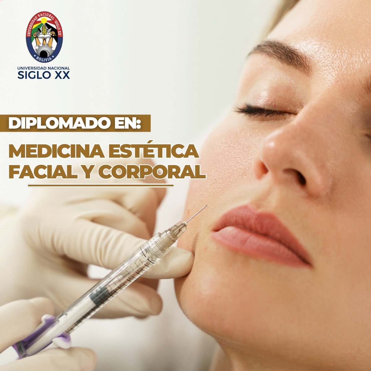 Diplomado DIPLOMADO EN MEDICINA ESTÉTICA FACIAL Y CORPORAL