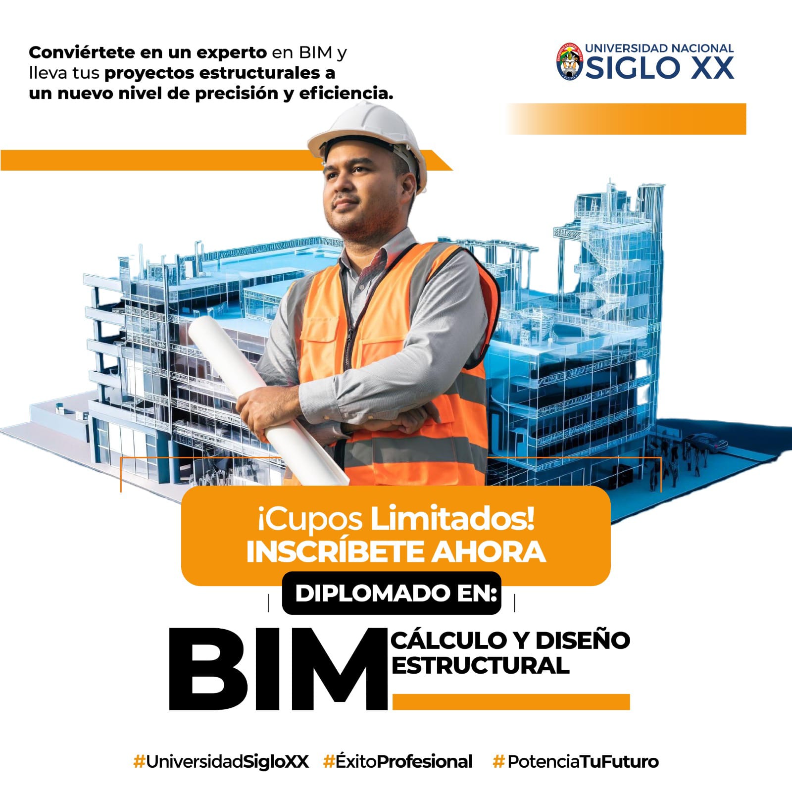 Diplomado BIM en Cálculo y Diseño Estructural
