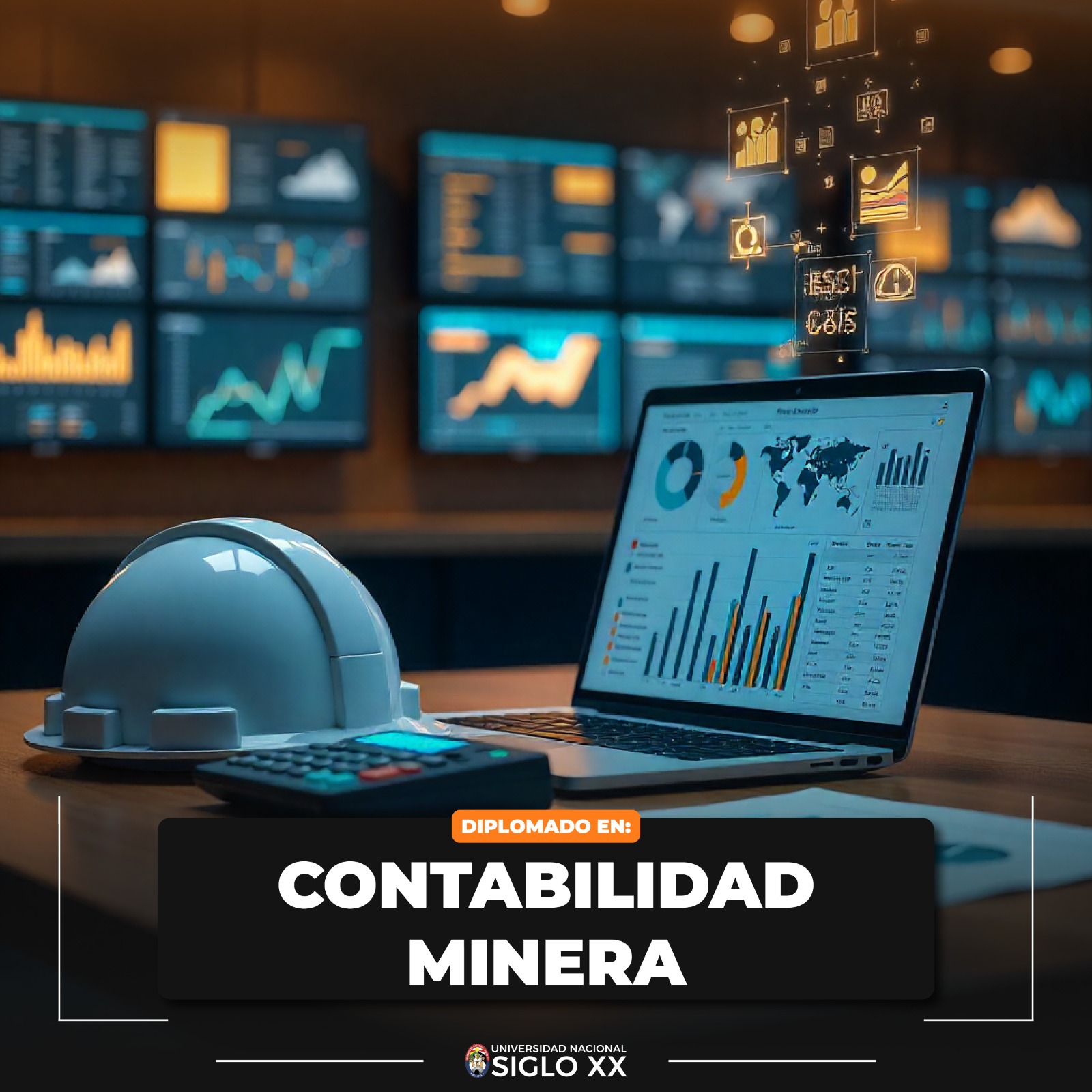 Pordata del programa Diplomado DIPLOMADO EN CONTABILIDAD MINERA