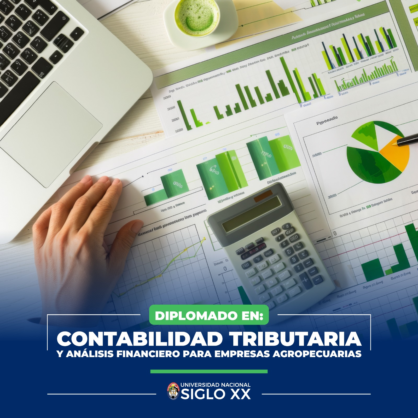 Pordata del programa Diplomado DIPLOMADO EN CONTABILIDAD TRIBUTARIA Y ANÁLISIS FINANCIERO PARA EMPRESAS AGROPECUARIAS