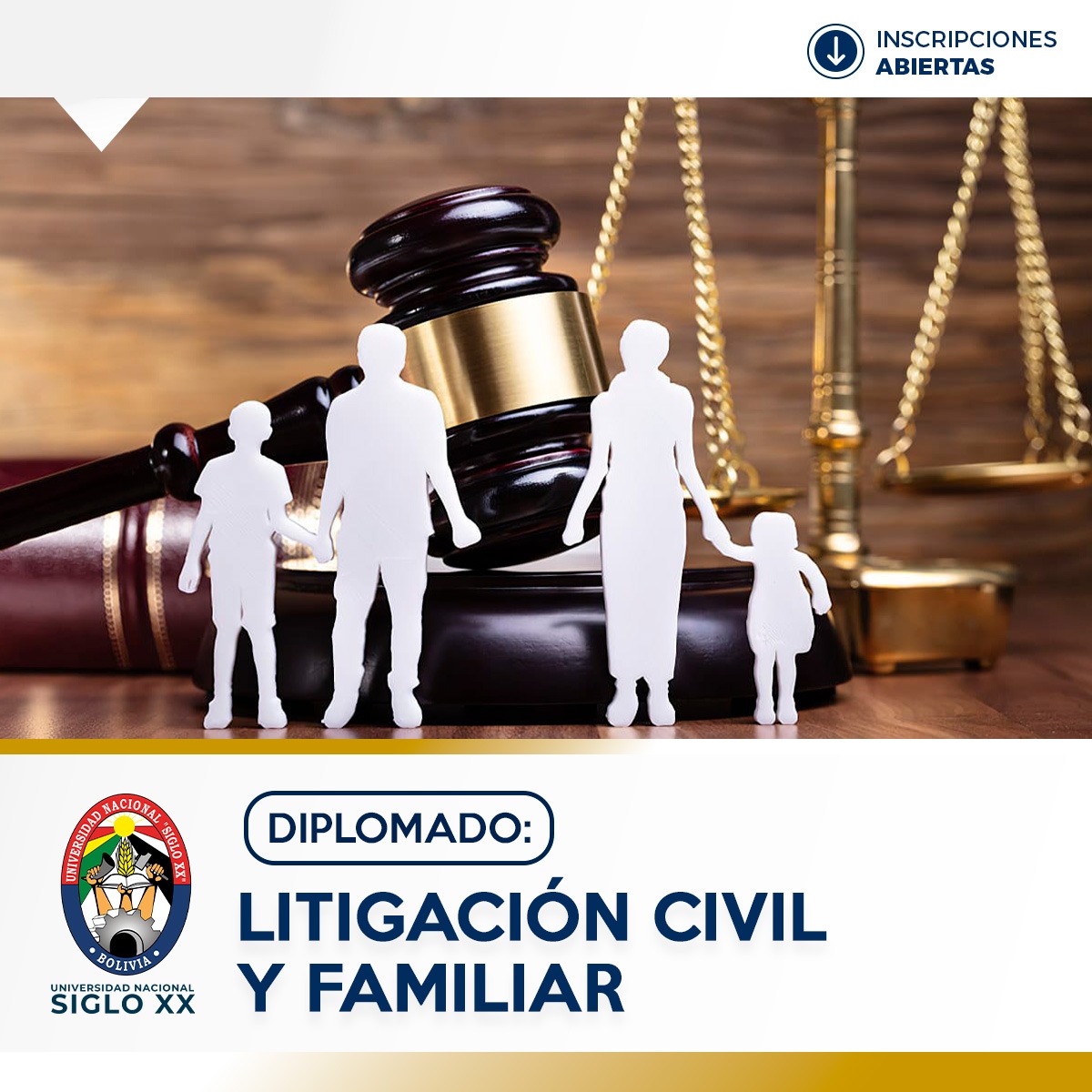 Diplomado EN LITIGACIÓN CIVIL Y FAMILIAR