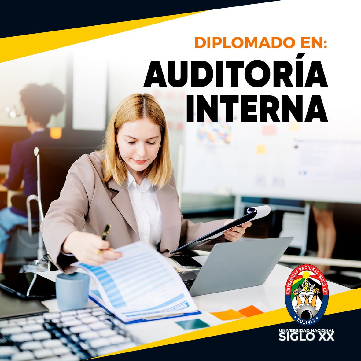 Diplomado en Auditoría Interna