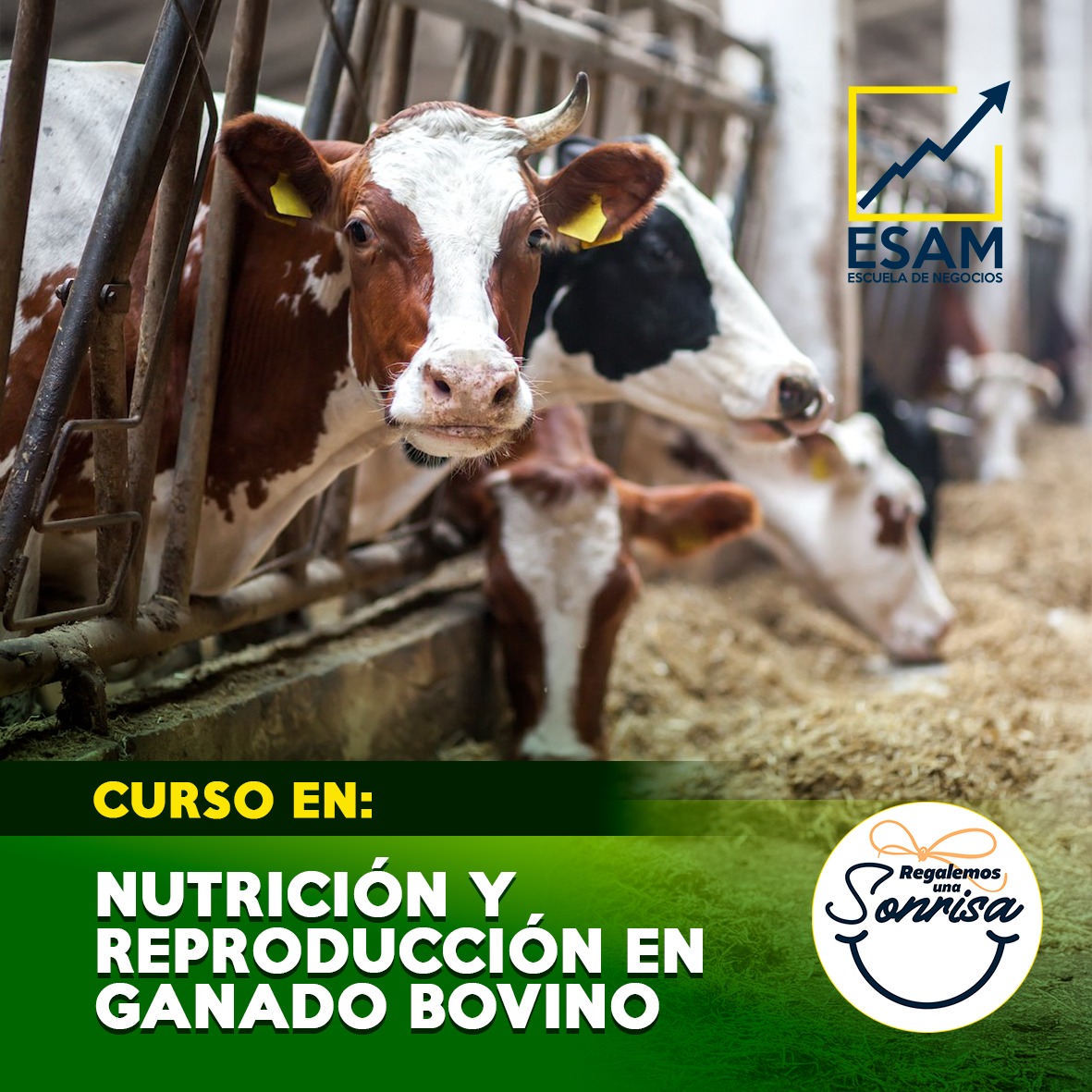 Esam Cursos NUTRICIÓN Y REPRODUCCIÓN EN GANADO BOVINO