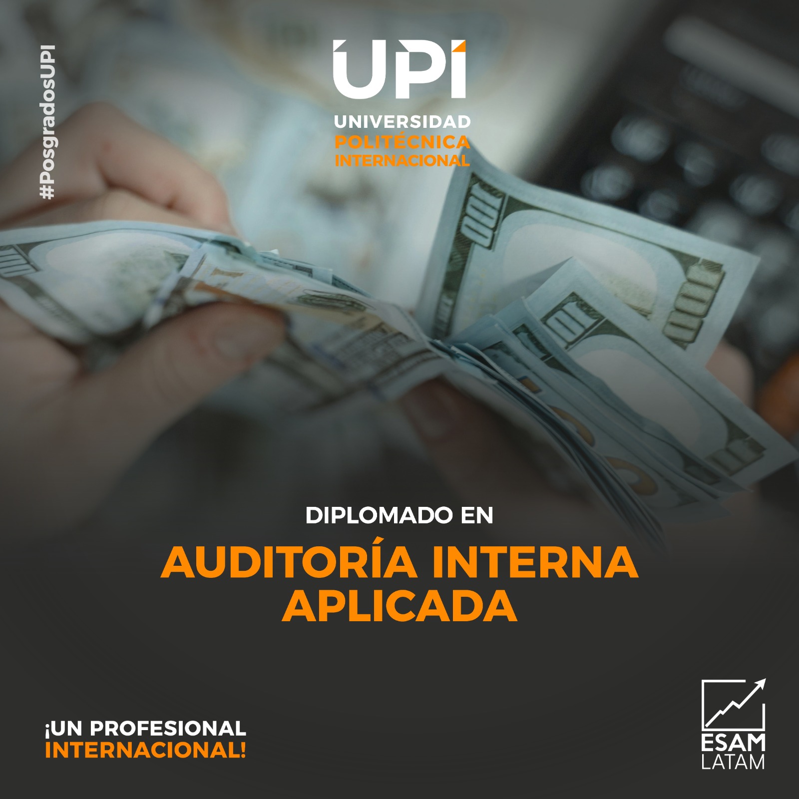 Portada del programa Auditoria Interna Aplicada