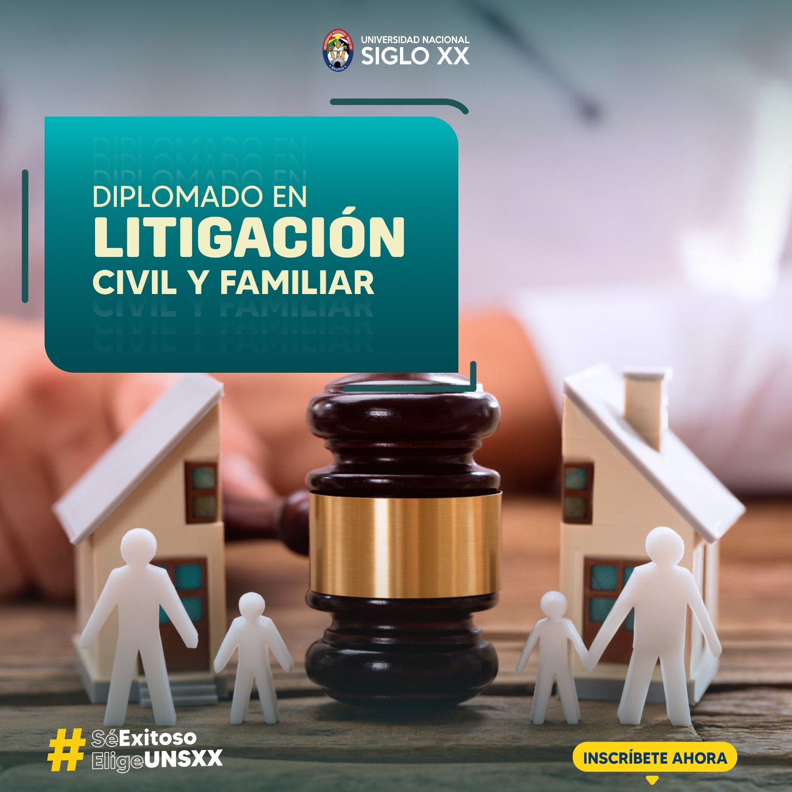 DIPLOMADO EN LITIGACIÓN CIVIL Y FAMILIAR