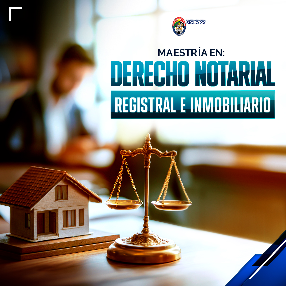 Portada del programa Derecho Notarial, Registral e Inmobiliario V4