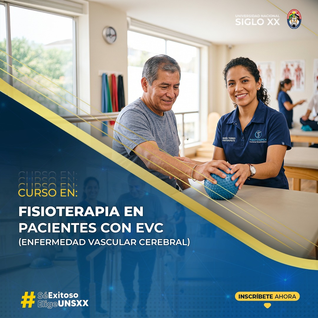 Portada del programa FISIOTERAPIA EN PACIENTES CON EVC (ENFERMEDAD VASCULAR CEREBRAL)