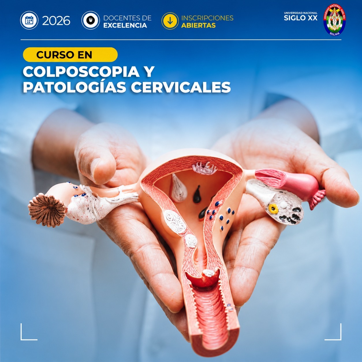 Portada del programa COLPOSCOPIA Y PATOLOGÍAS CERVICALES