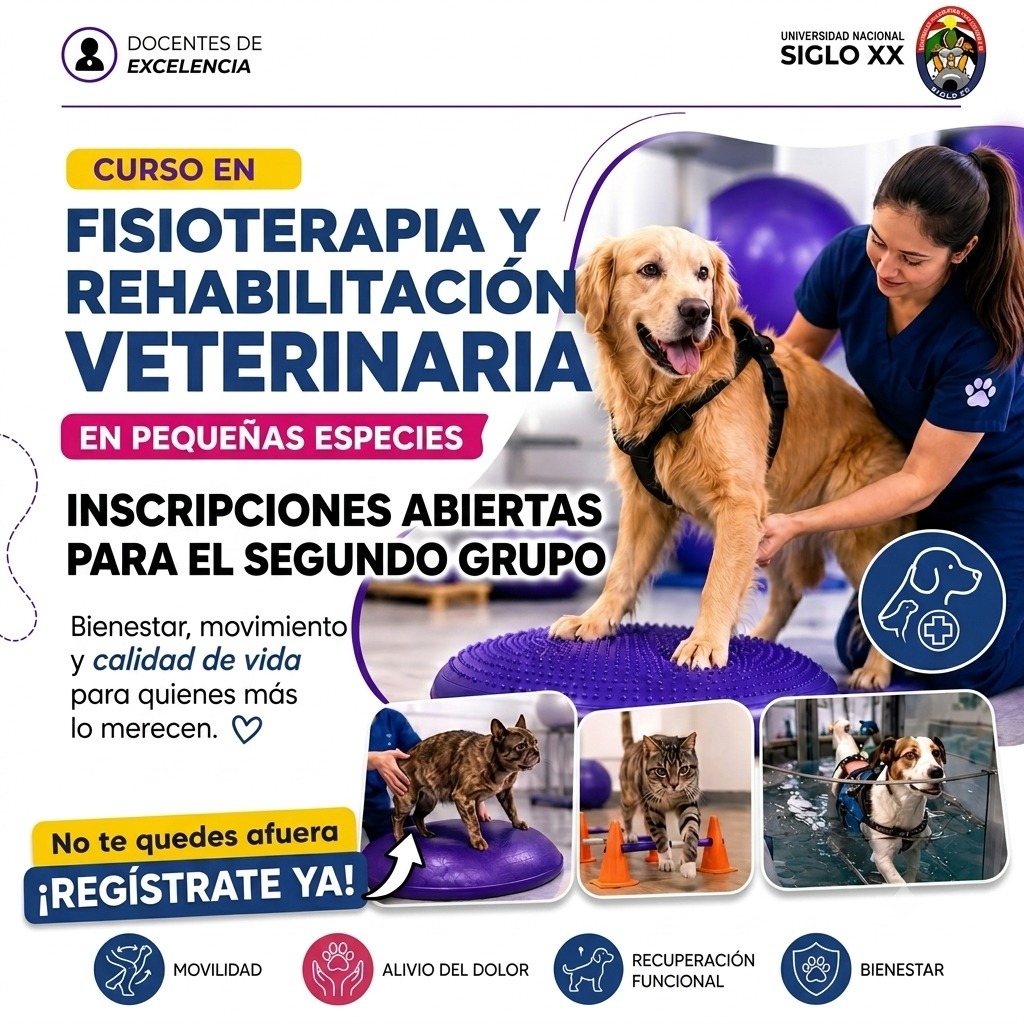 Portada del programa FISIOTERAPIA Y REHABILITACIÓN VETERINARIA EN PEQUEÑAS ESPECIES