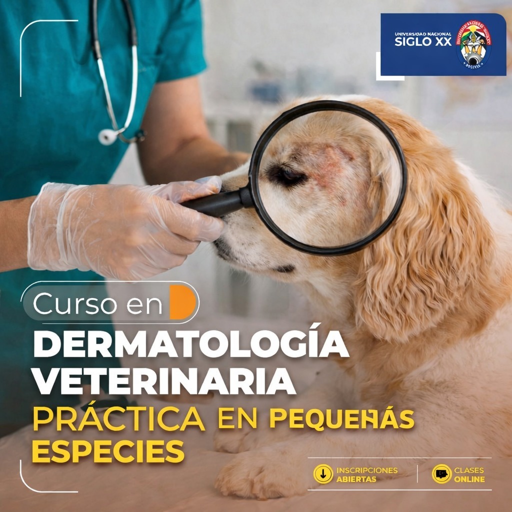 Portada del programa DERMATOLOGÍA VETERINARIA PRÁCTICA EN PEQUEÑAS ESPECIES